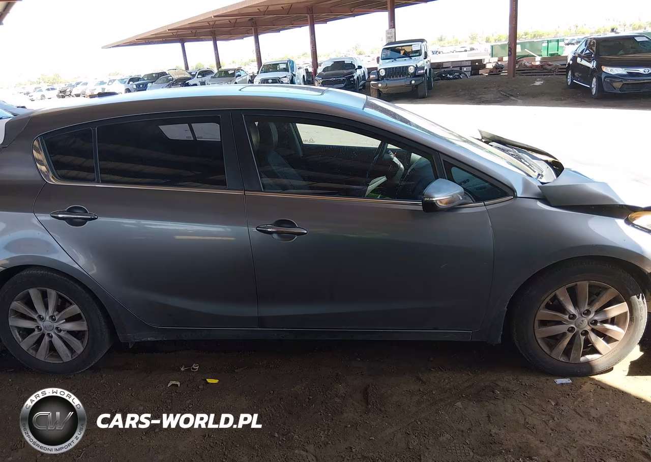2015 Kia Forte Ex VIN:KNAFX5A82F5345224 - 13