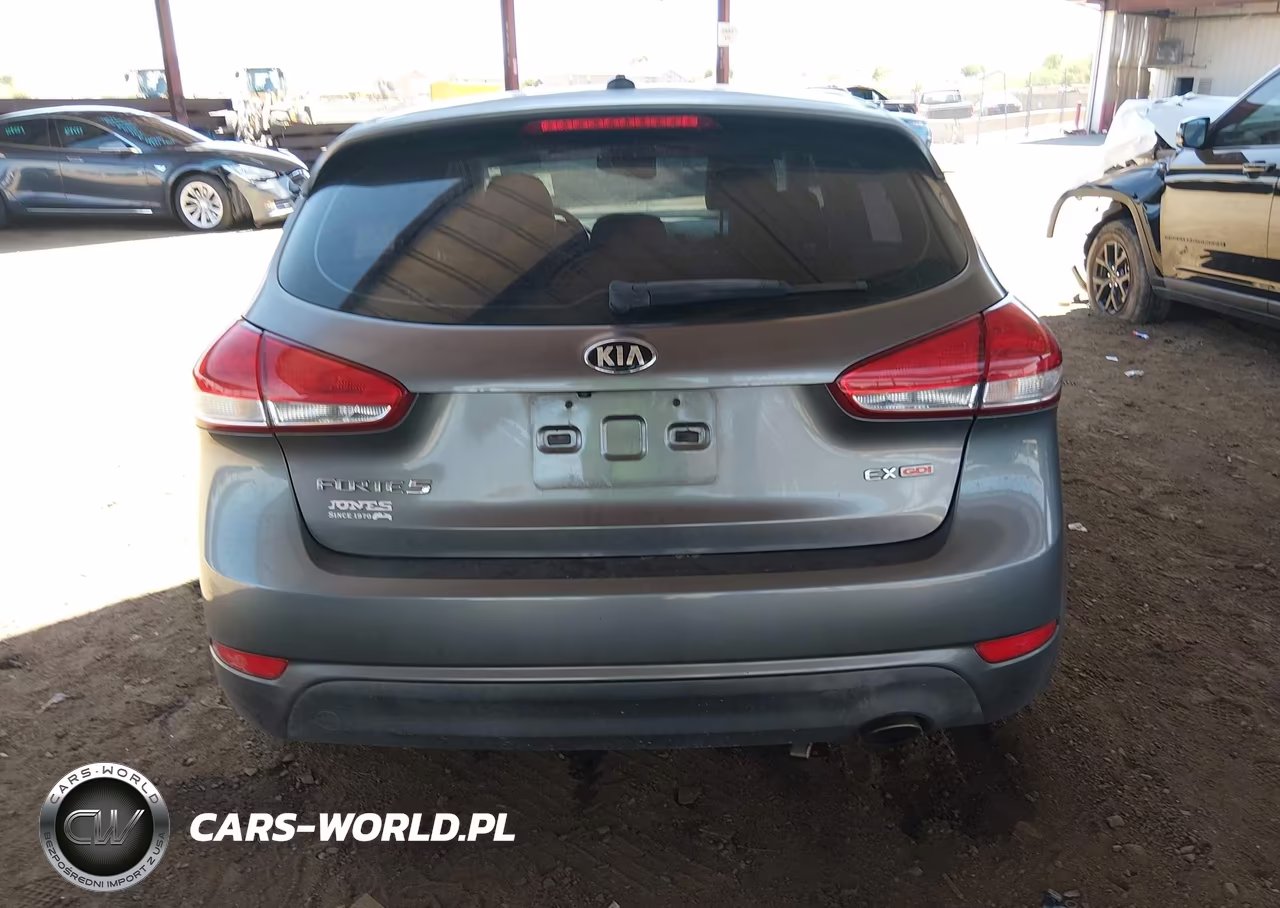 2015 Kia Forte Ex VIN:KNAFX5A82F5345224 - 16