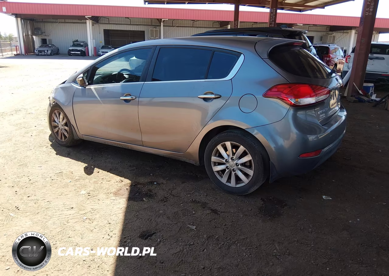 2015 Kia Forte Ex VIN:KNAFX5A82F5345224 - 3