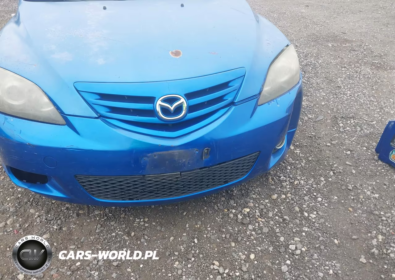 2004 Mazda Mazda3 S VIN:JM1BK343841189456 - 6