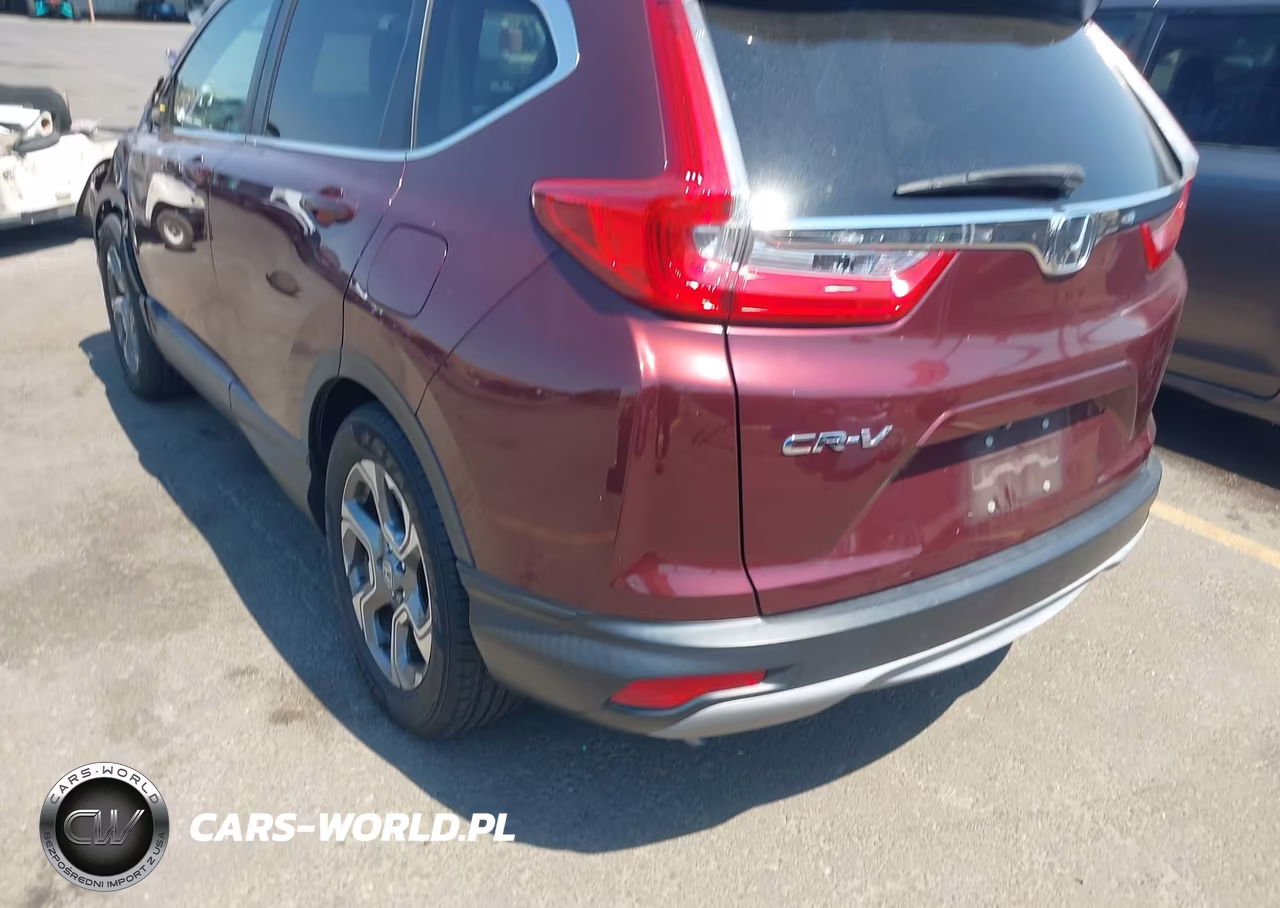 2019 Honda Cr-V Ex VIN:5J6RW1H50KL001656 - 3