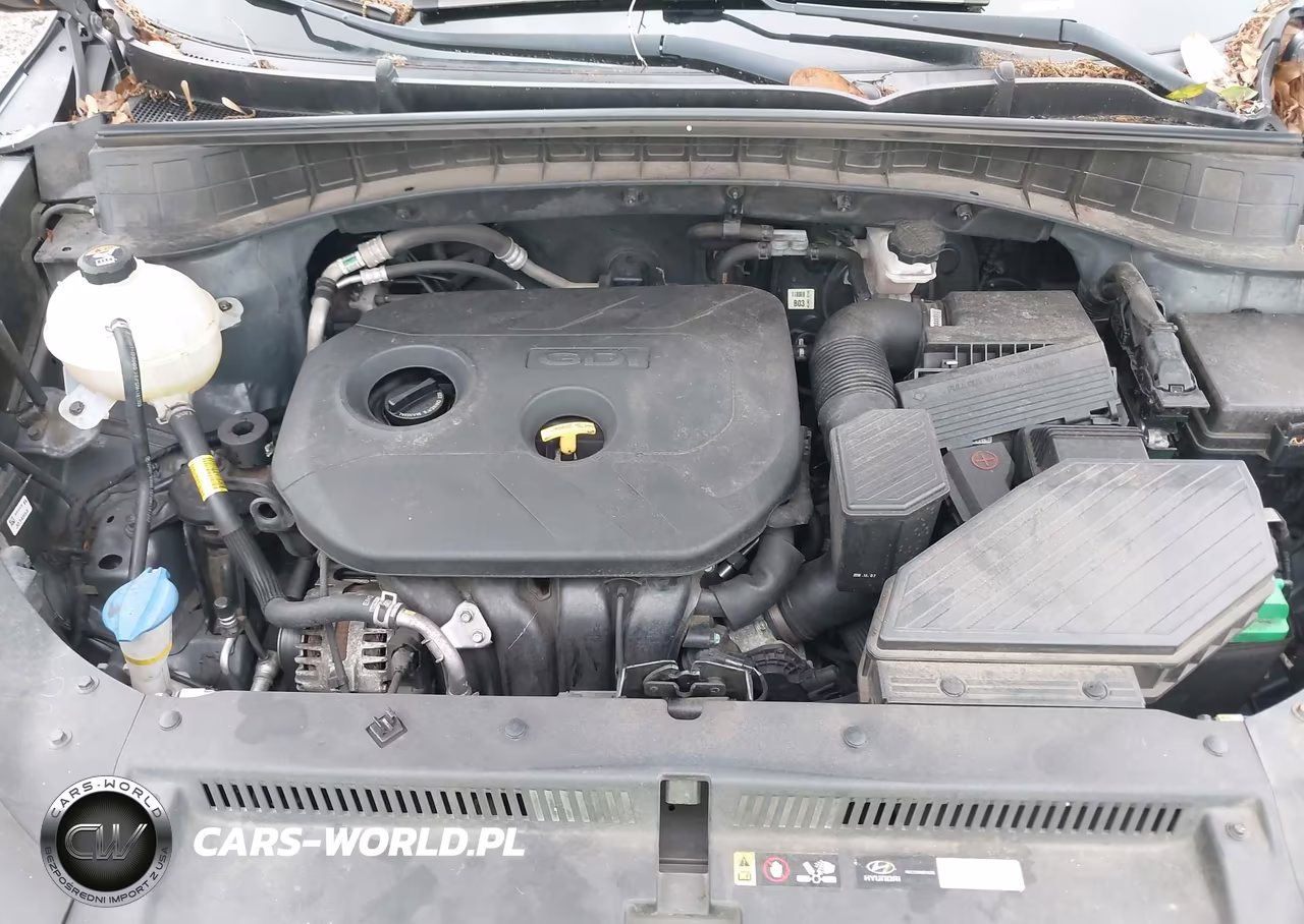 2019 Hyundai Tucson Se VIN:KM8J23A47KU921317 - 10
