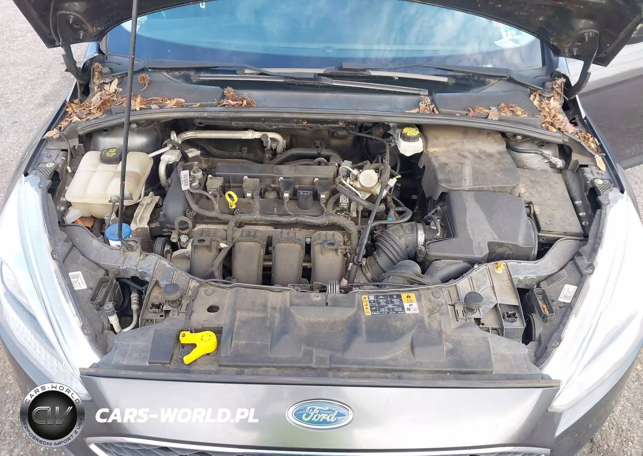 2018 Ford Focus Se VIN:1FADP3F20JL218260 - 10