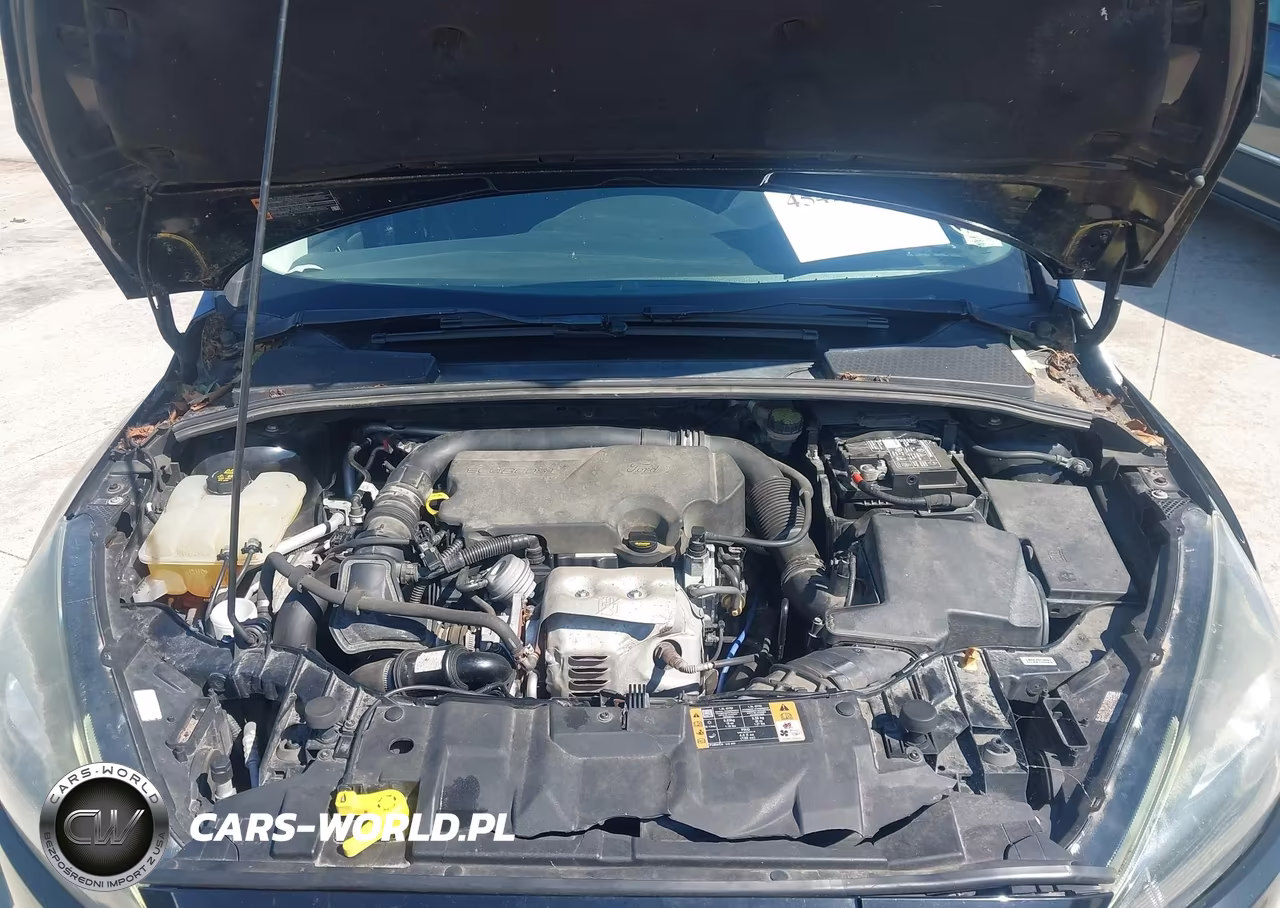 2016 Ford Focus Se VIN:1FADP3FE4GL278125 - 10