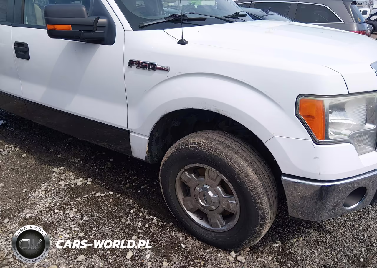 2011 Ford F-150 Stx-Xl-Xlt VIN:1FTEX1EM1BFD37635 - 12