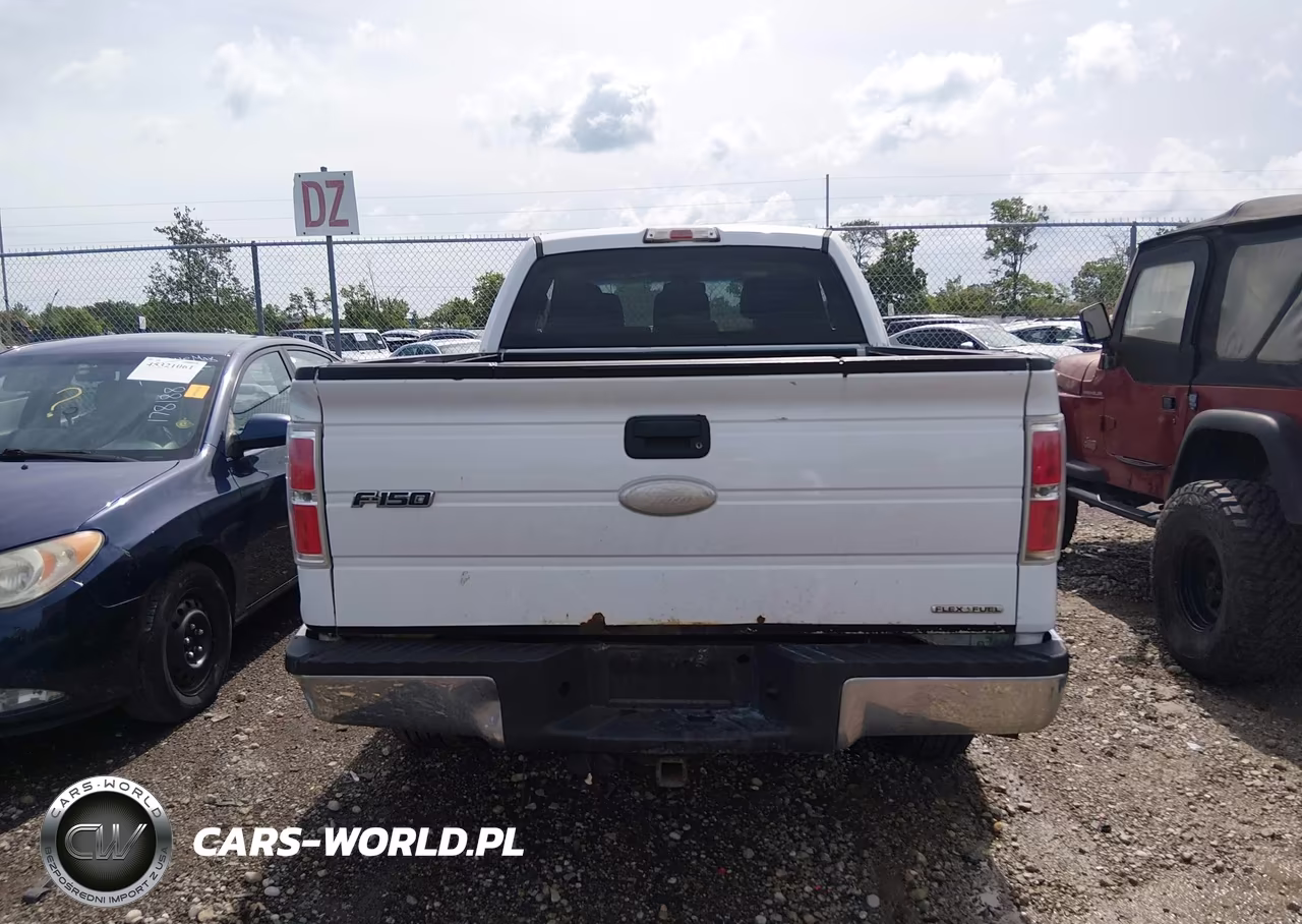 2011 Ford F-150 Stx-Xl-Xlt VIN:1FTEX1EM1BFD37635 - 17