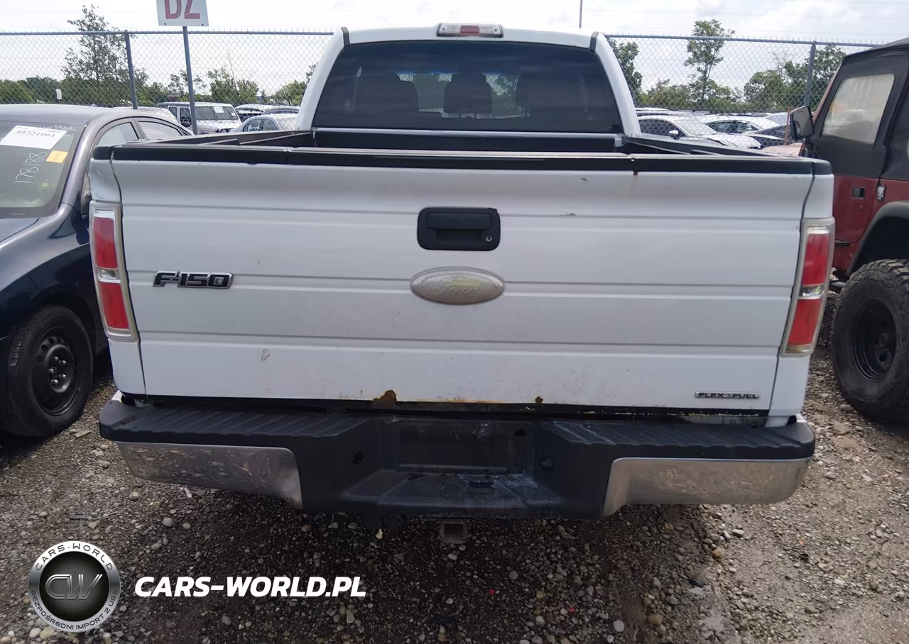 2011 Ford F-150 Stx-Xl-Xlt VIN:1FTEX1EM1BFD37635 - 19