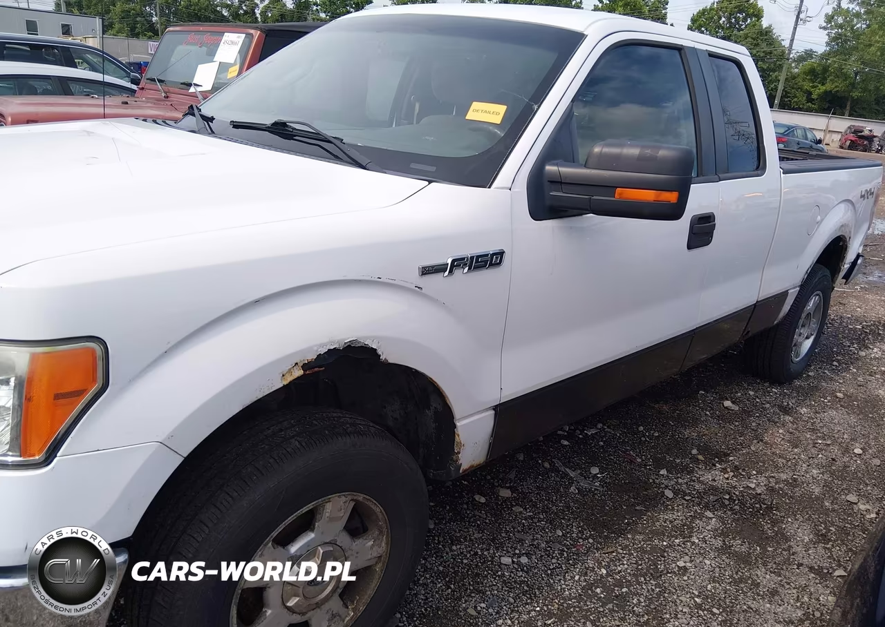 2011 Ford F-150 Stx-Xl-Xlt VIN:1FTEX1EM1BFD37635 - 21