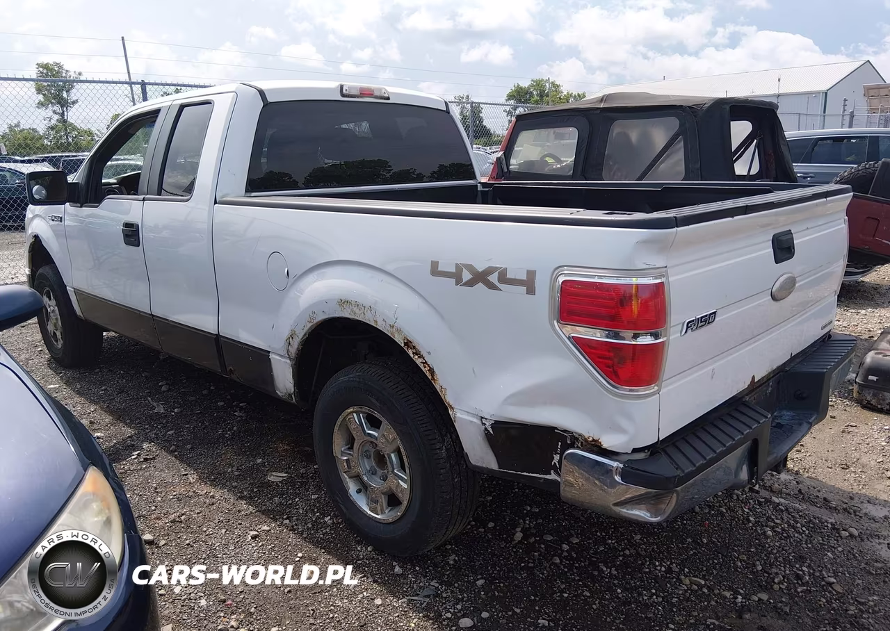 2011 Ford F-150 Stx-Xl-Xlt VIN:1FTEX1EM1BFD37635 - 3