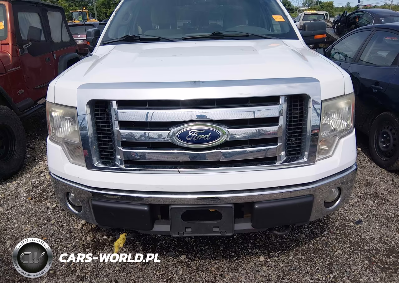 2011 Ford F-150 Stx-Xl-Xlt VIN:1FTEX1EM1BFD37635 - 6