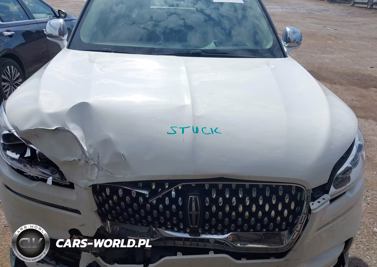 2020 Lincoln Aviator Black Label VIN:5LM5J9XC4LGL04914 - 10