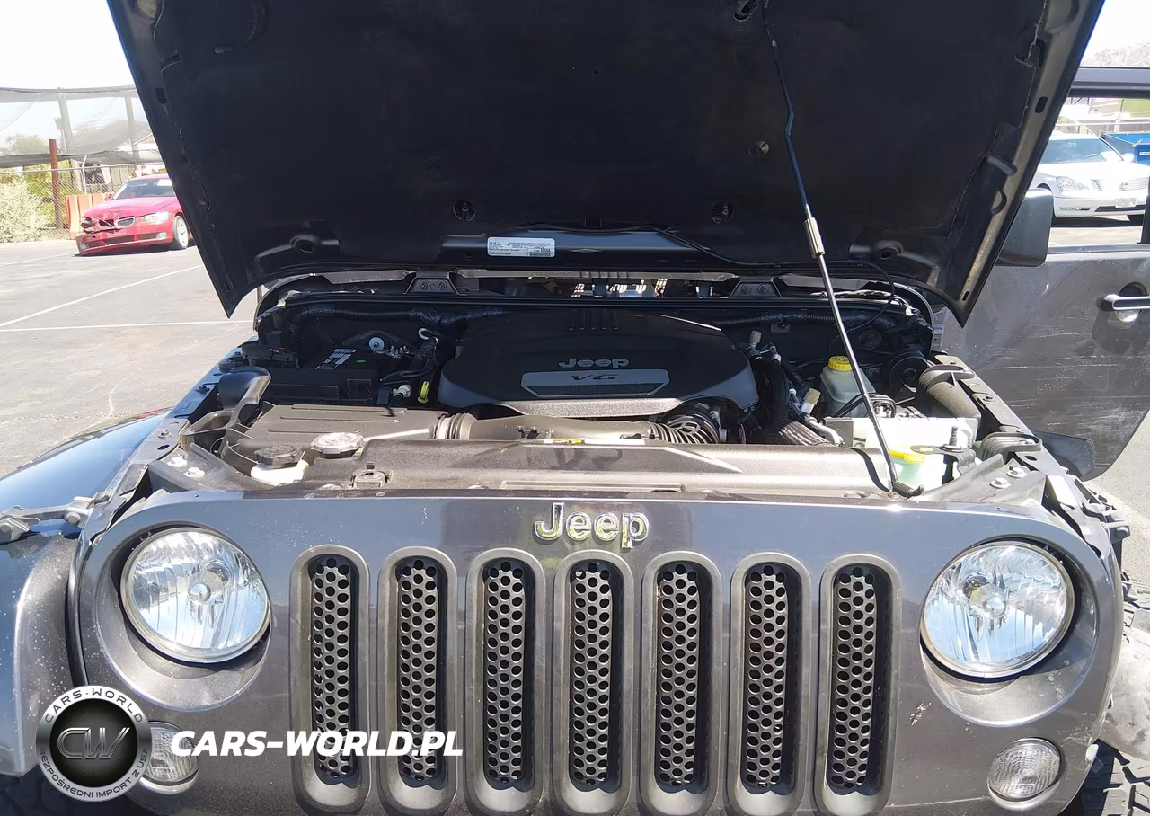 2016 Jeep Wrangler Unlimited Rubicon VIN:1C4BJWFG7GL298939 - 10