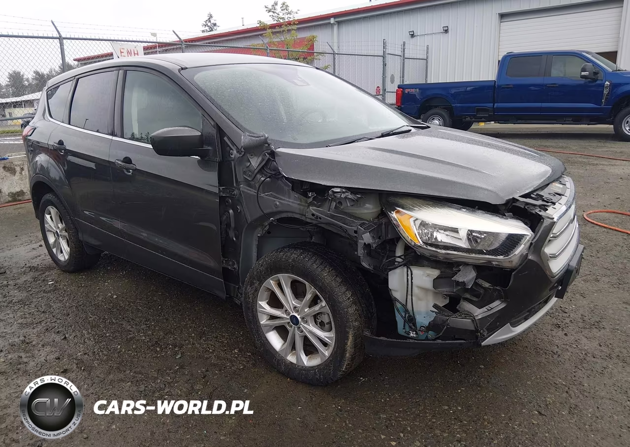 2019 Ford Escape Se