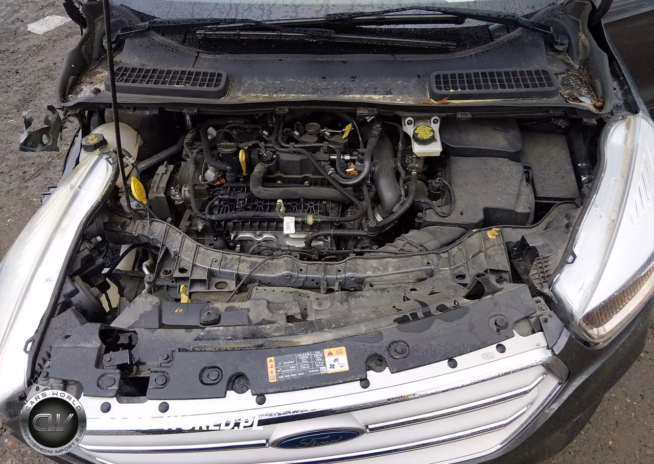 2019 Ford Escape Se VIN:1FMCU9GD1KUA65817 - 10
