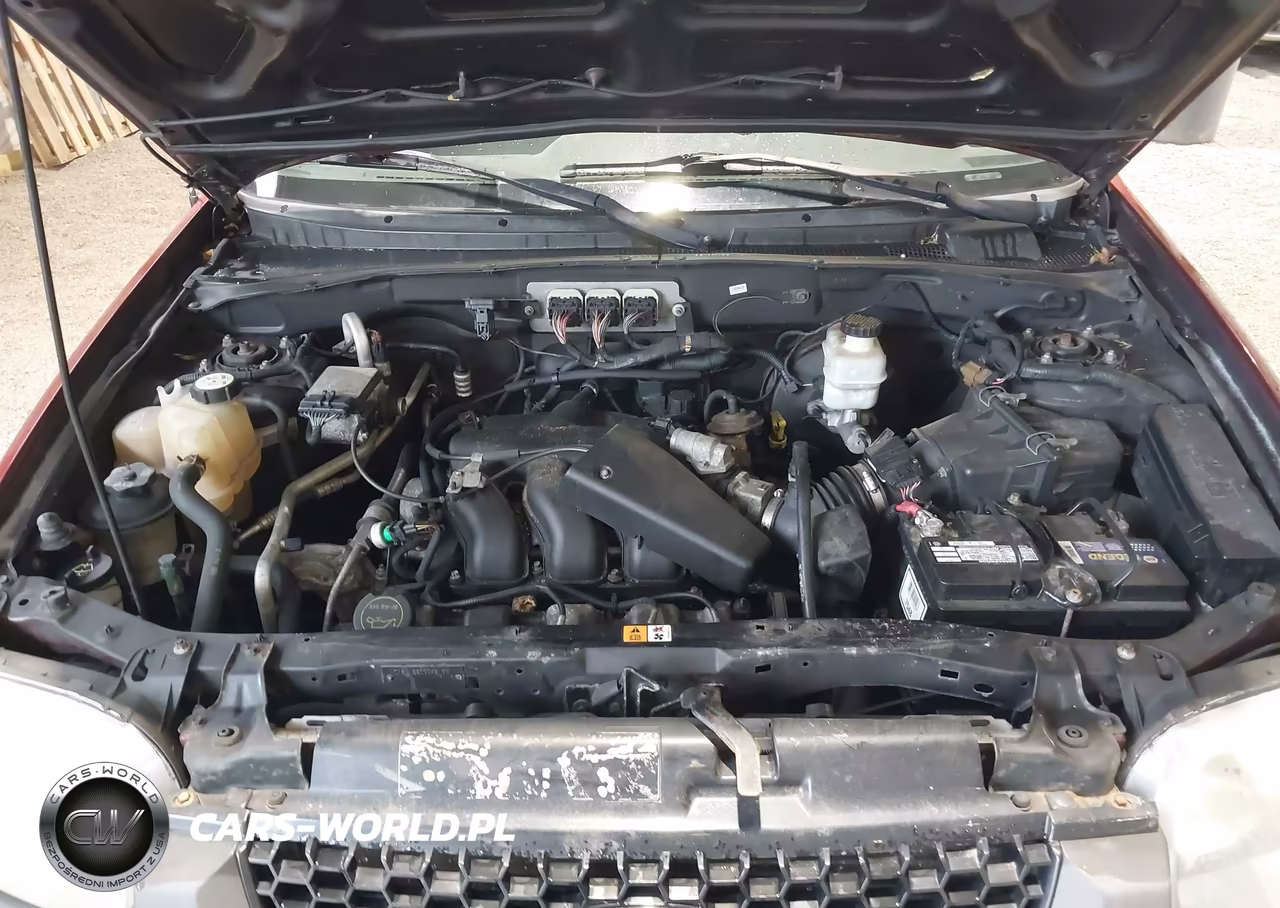 2006 Ford Escape Xlt-Xlt Sport VIN:1FMYU03136KB87982 - 10