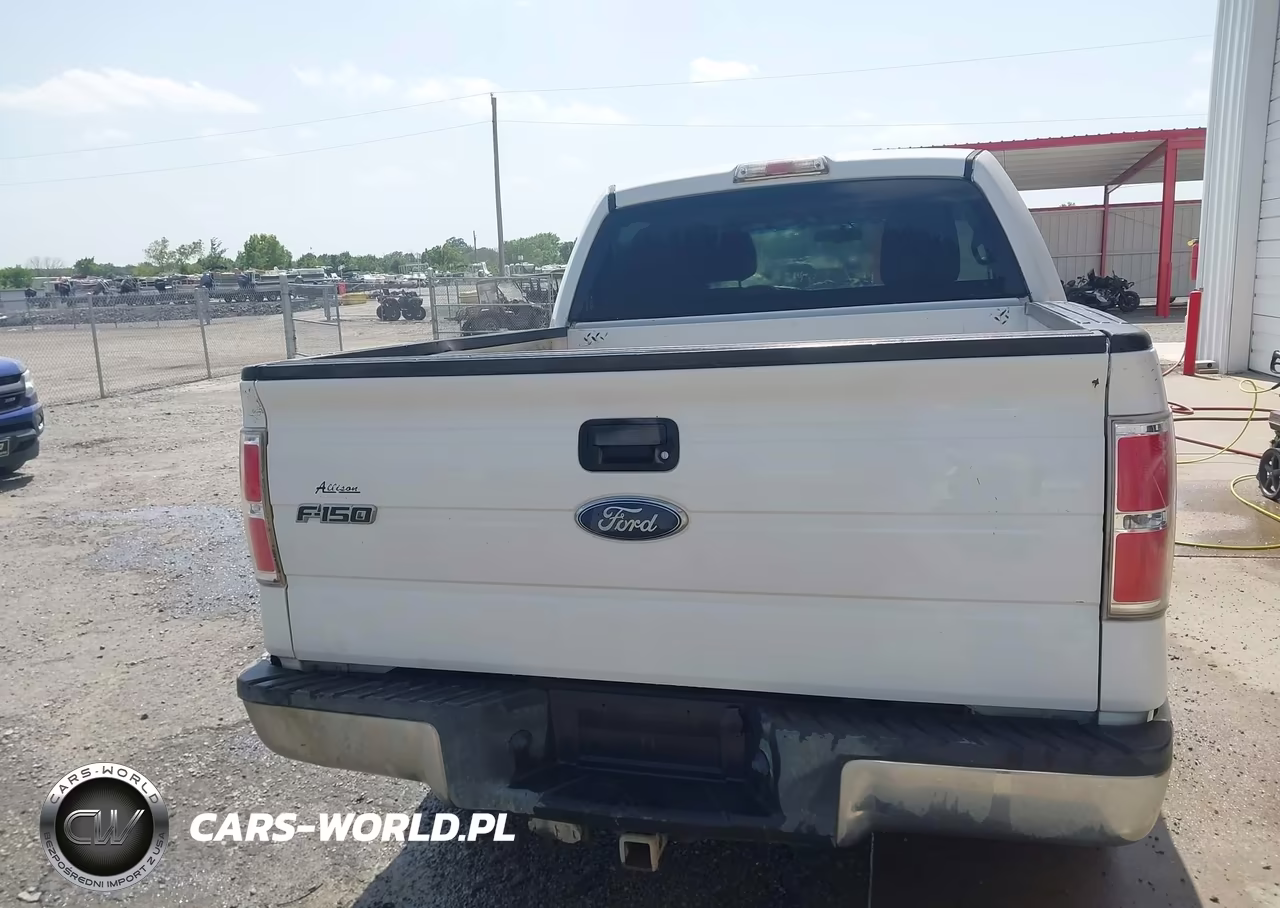 2010 Ford F-150 Fx2 Sport-Xl-Xlt VIN:1FTEW1C8XAFD66235 - 16