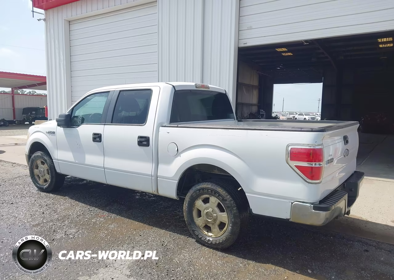 2010 Ford F-150 Fx2 Sport-Xl-Xlt VIN:1FTEW1C8XAFD66235 - 3