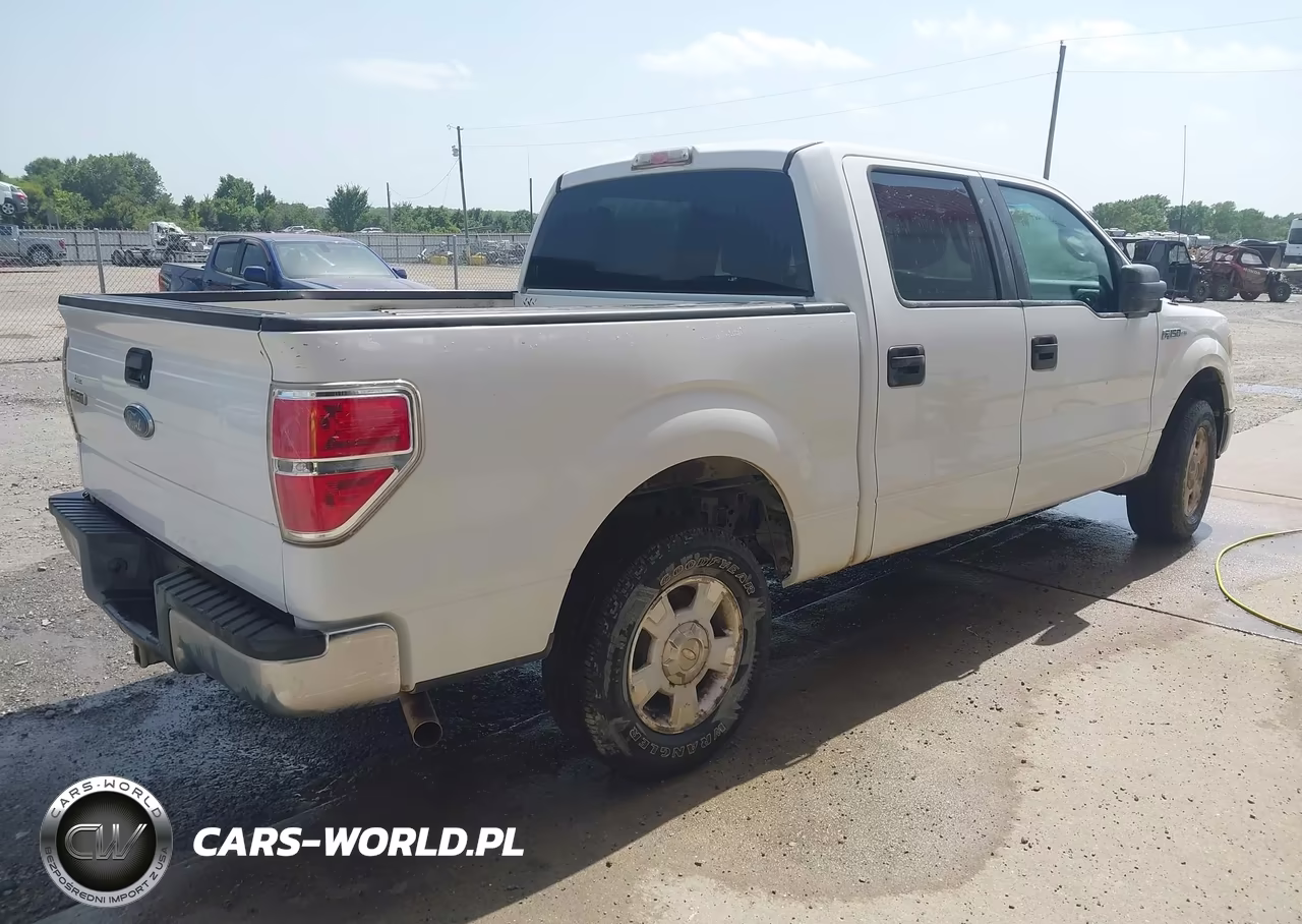 2010 Ford F-150 Fx2 Sport-Xl-Xlt VIN:1FTEW1C8XAFD66235 - 4