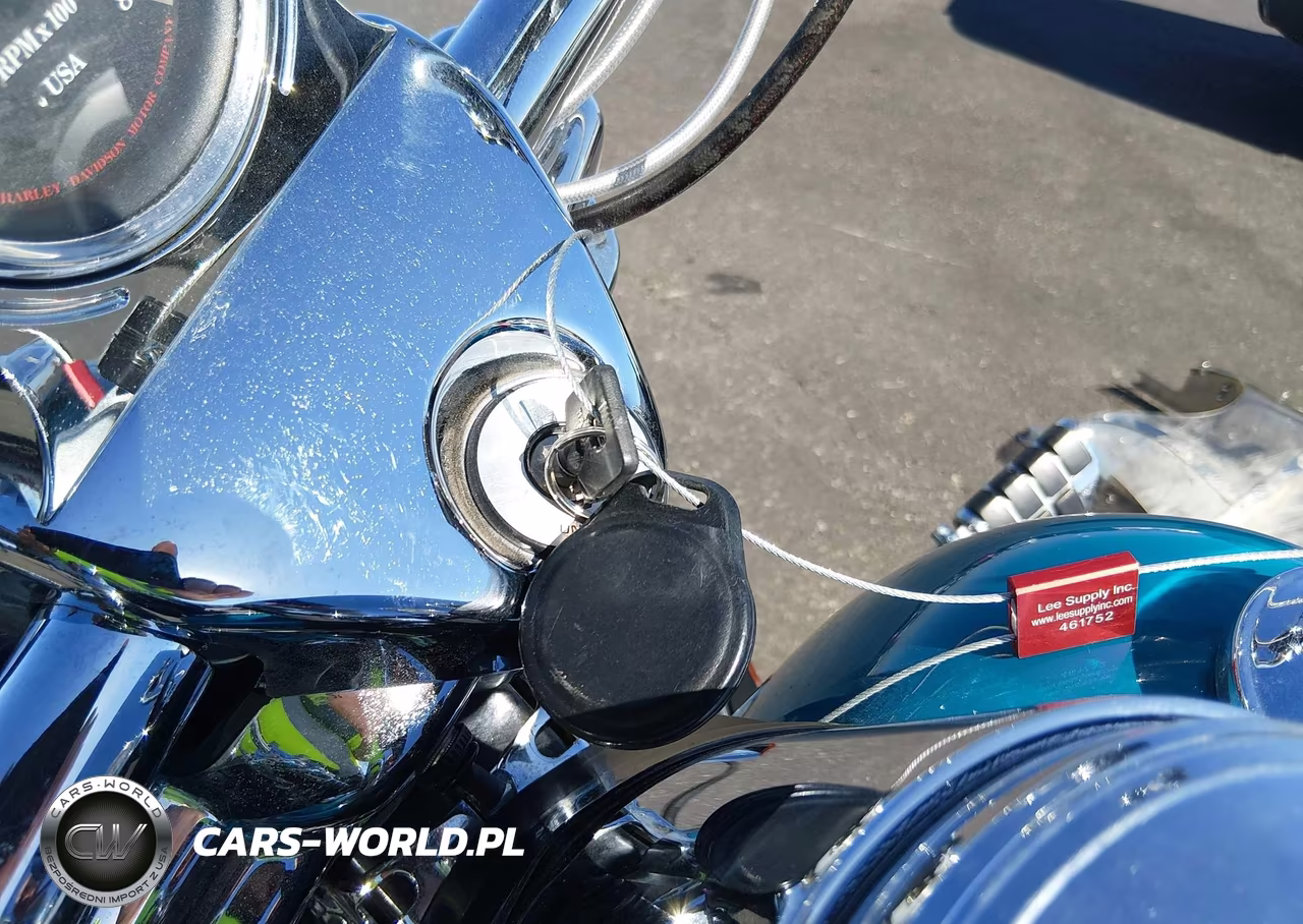 2001 Harley-Davidson Flhrci VIN:1HD1FRW391Y609873 - 11
