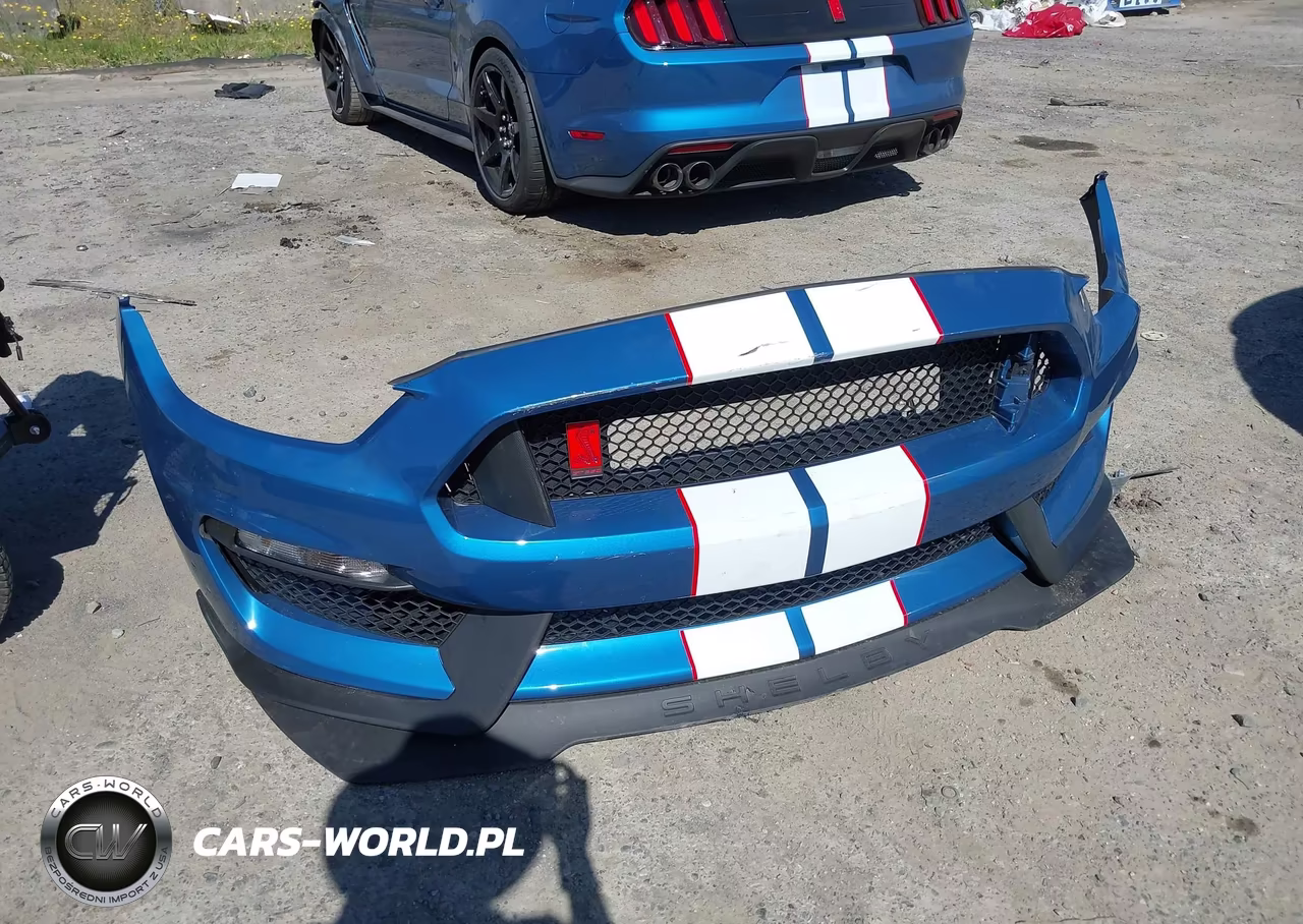 2020 Ford Mustang Shelby Gt350R Fastback VIN:1FA6P8JZ2L5552324 - 12
