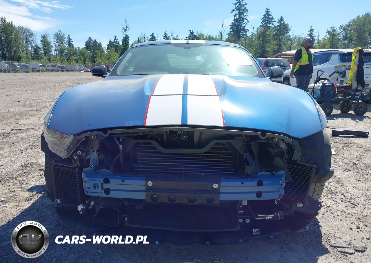 2020 Ford Mustang Shelby Gt350R Fastback VIN:1FA6P8JZ2L5552324 - 13