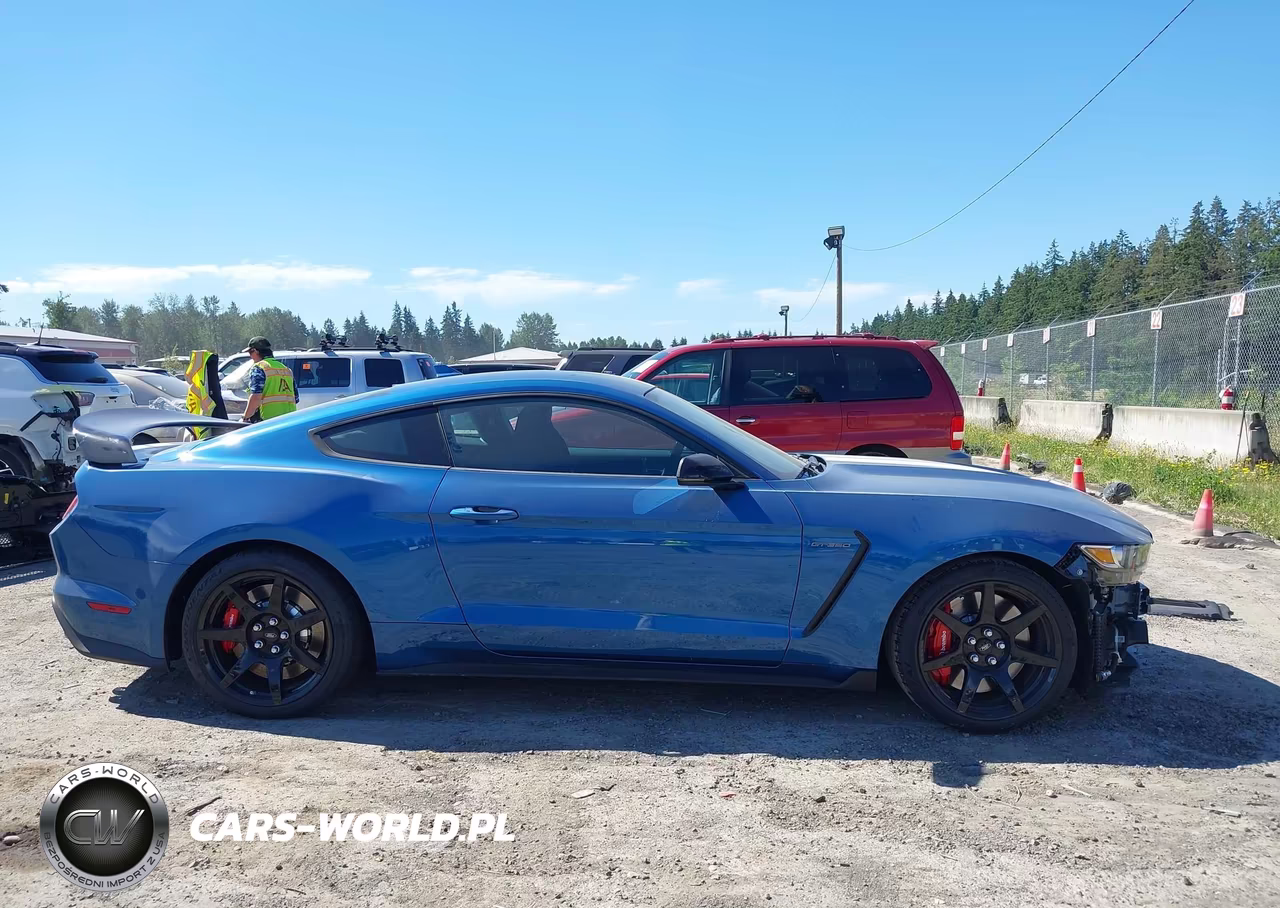 2020 Ford Mustang Shelby Gt350R Fastback VIN:1FA6P8JZ2L5552324 - 14