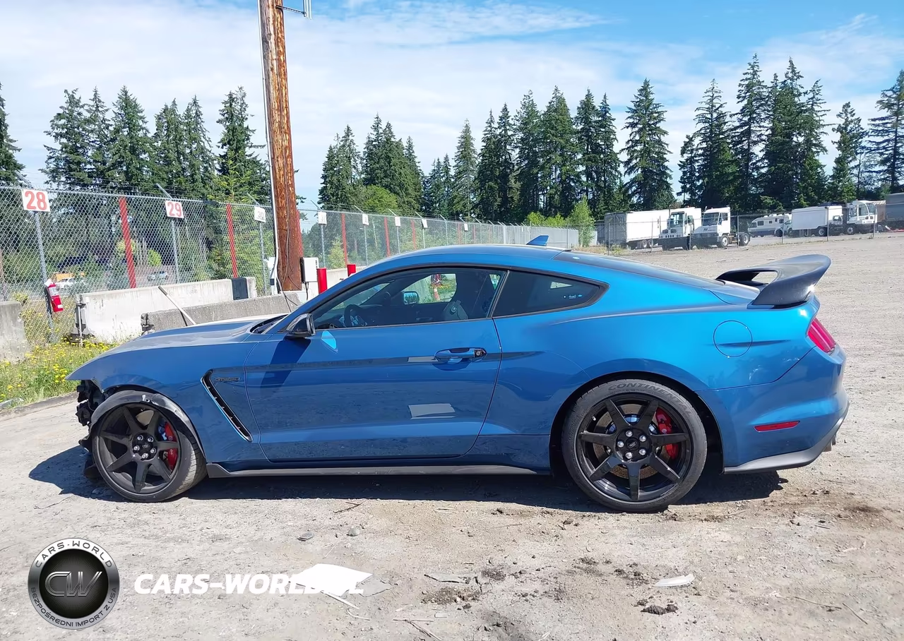2020 Ford Mustang Shelby Gt350R Fastback VIN:1FA6P8JZ2L5552324 - 15