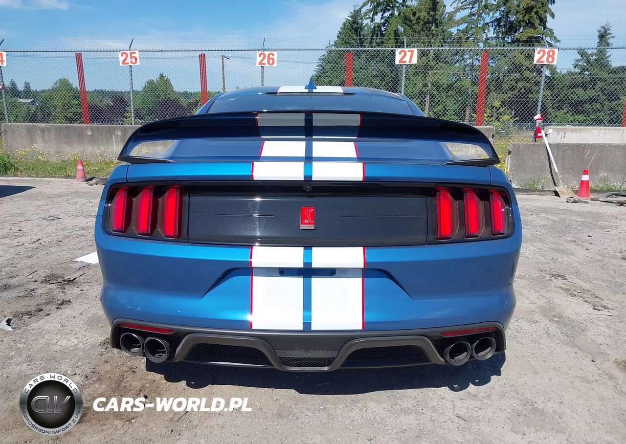 2020 Ford Mustang Shelby Gt350R Fastback VIN:1FA6P8JZ2L5552324 - 17