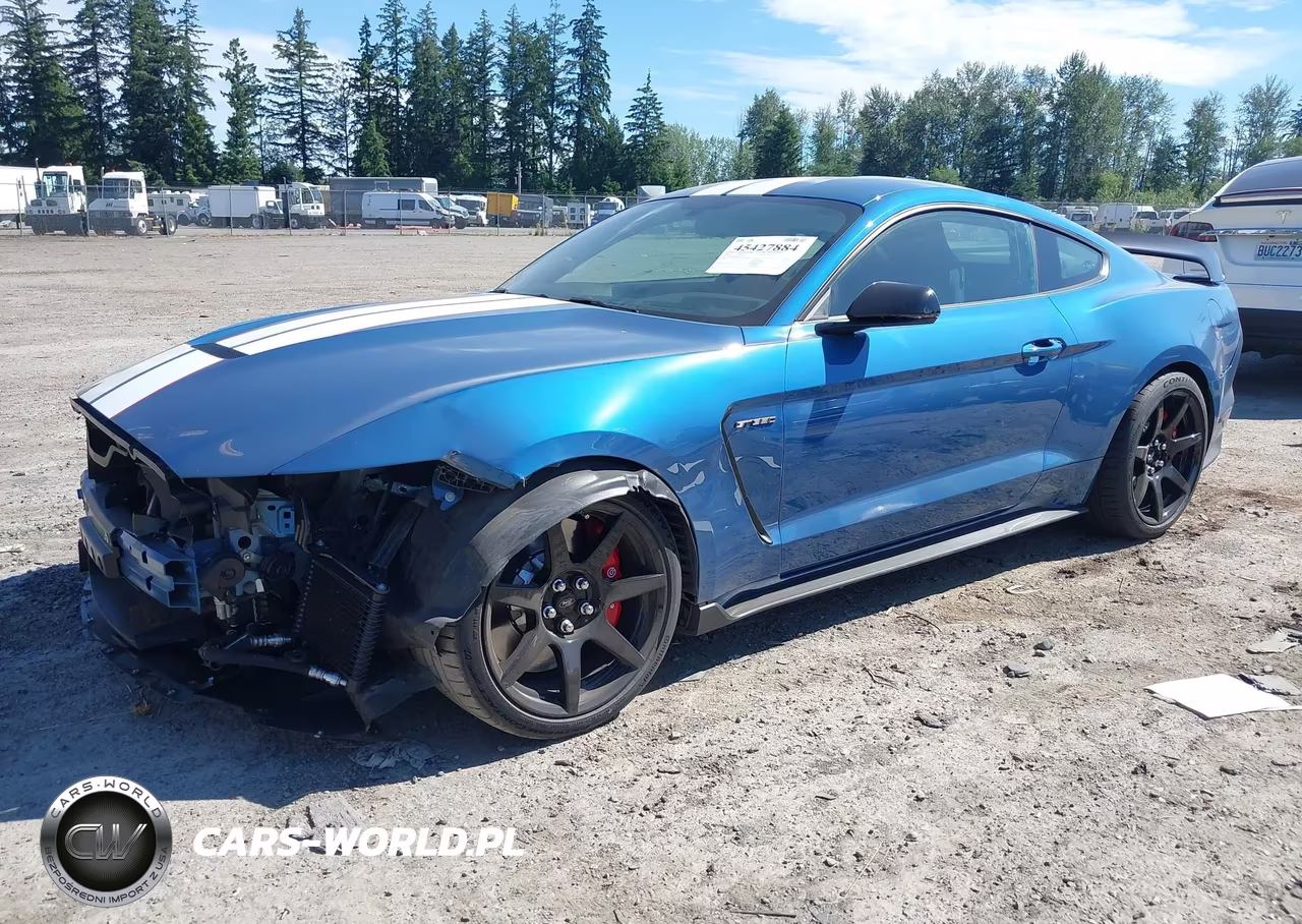 2020 Ford Mustang Shelby Gt350R Fastback VIN:1FA6P8JZ2L5552324 - 2