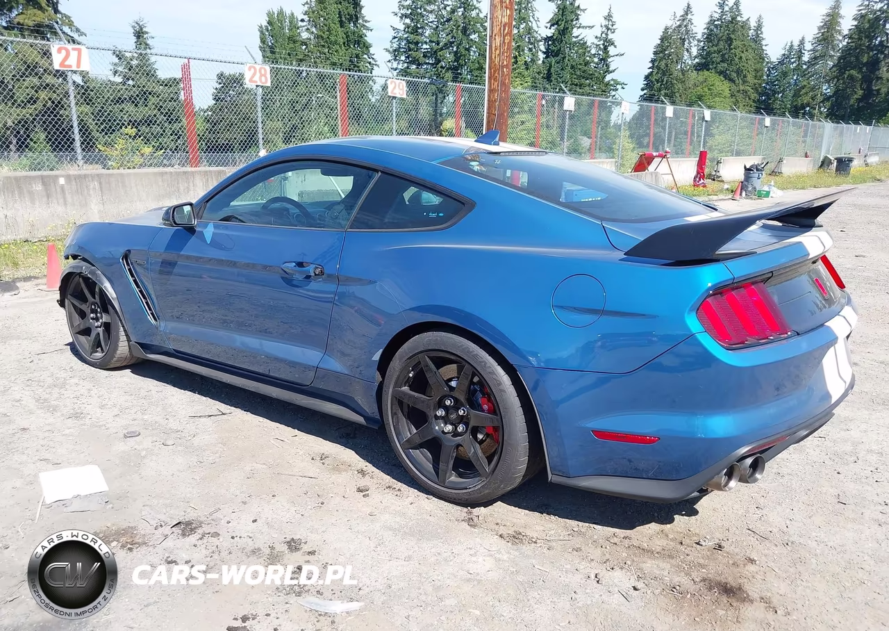 2020 Ford Mustang Shelby Gt350R Fastback VIN:1FA6P8JZ2L5552324 - 3