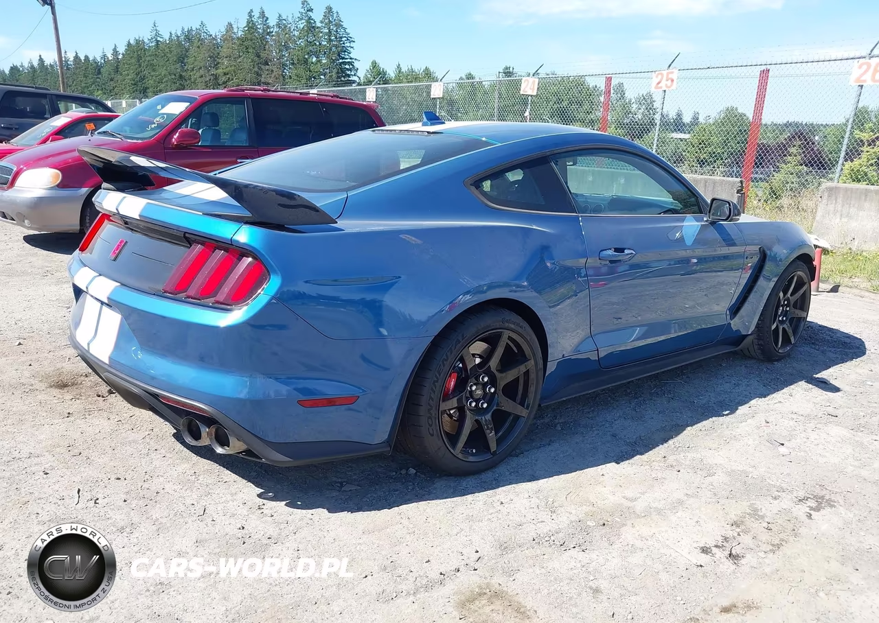 2020 Ford Mustang Shelby Gt350R Fastback VIN:1FA6P8JZ2L5552324 - 4