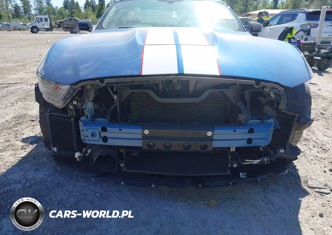 2020 Ford Mustang Shelby Gt350R Fastback VIN:1FA6P8JZ2L5552324 - 6