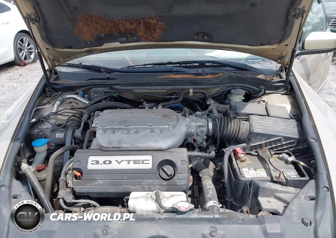 2004 Honda Accord 3.0 Ex VIN:1HGCM66594A059895 - 10
