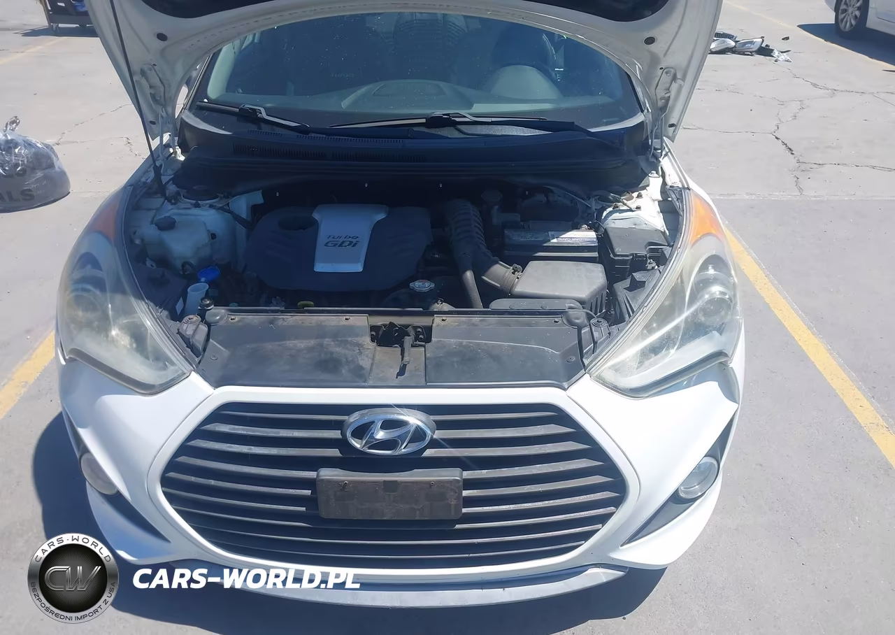 2013 Hyundai Veloster Turbo W-Black VIN:KMHTC6AE6DU139755 - 10