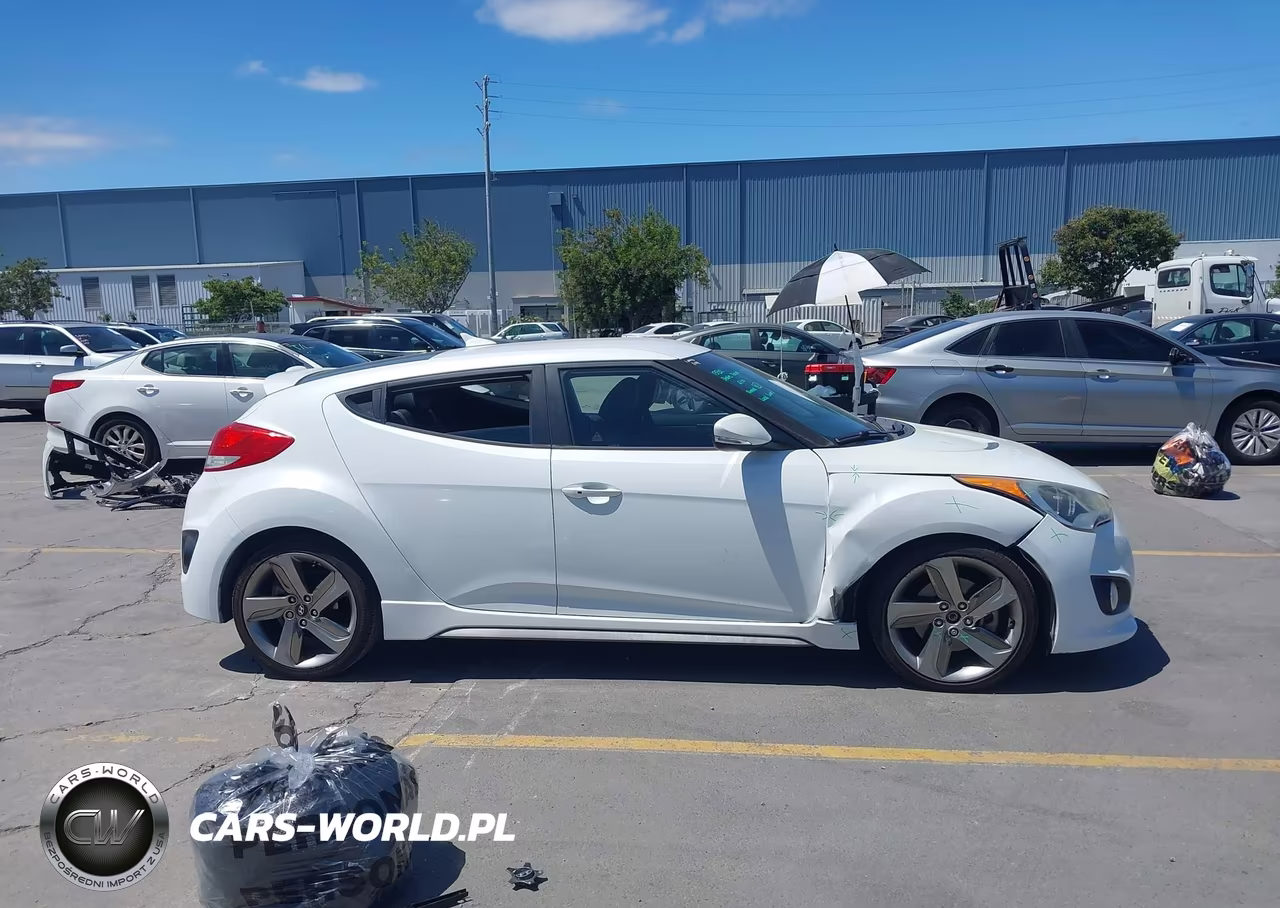 2013 Hyundai Veloster Turbo W-Black VIN:KMHTC6AE6DU139755 - 14