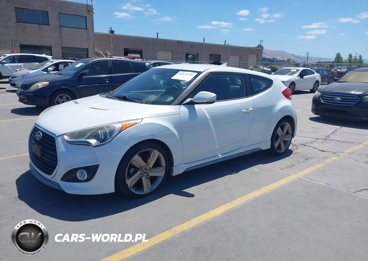 2013 Hyundai Veloster Turbo W-Black VIN:KMHTC6AE6DU139755 - 2