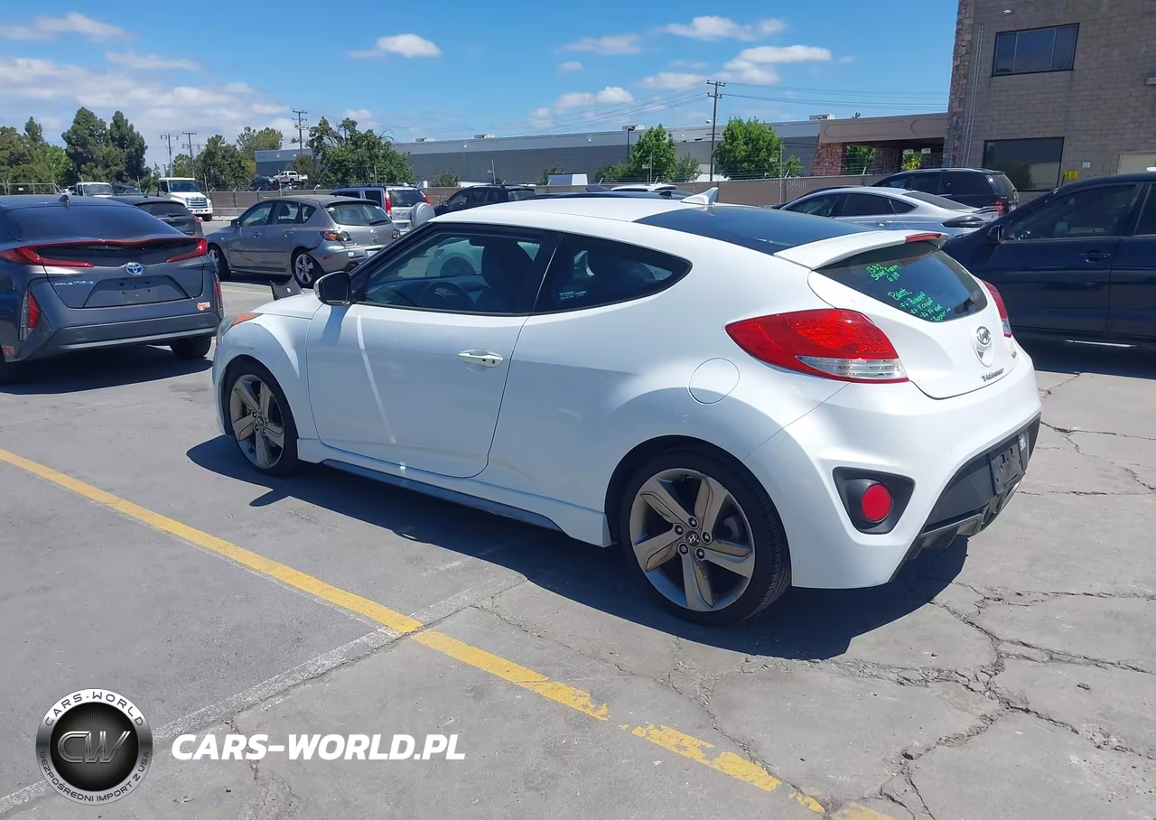 2013 Hyundai Veloster Turbo W-Black VIN:KMHTC6AE6DU139755 - 3