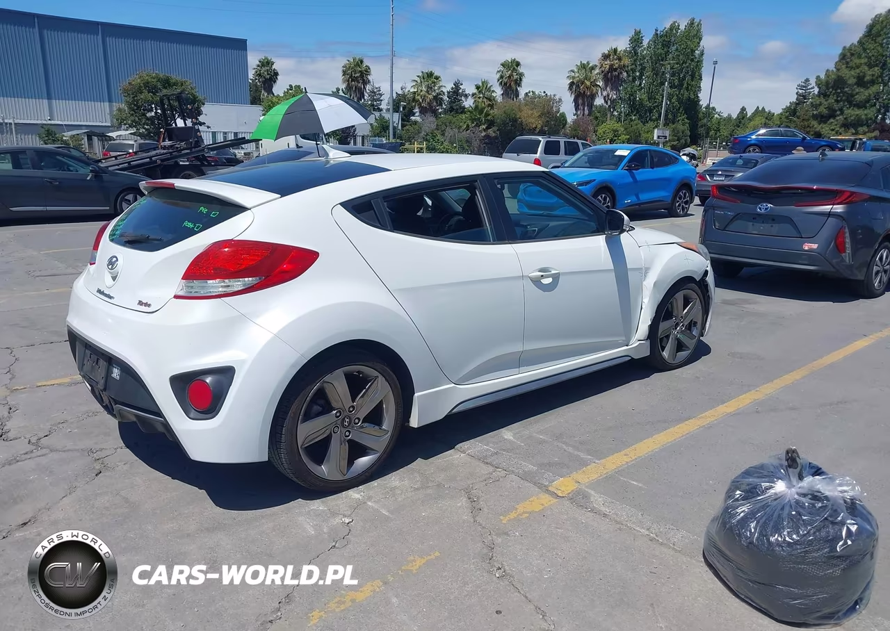 2013 Hyundai Veloster Turbo W-Black VIN:KMHTC6AE6DU139755 - 4