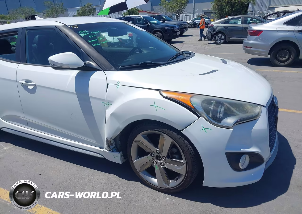 2013 Hyundai Veloster Turbo W-Black VIN:KMHTC6AE6DU139755 - 6