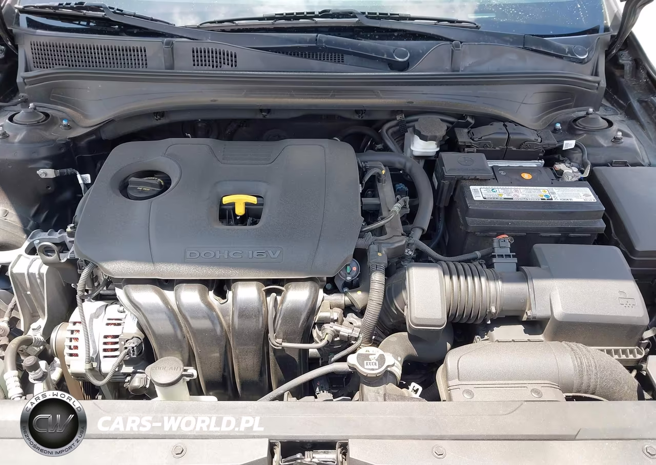 2019 Kia Forte Lxs VIN:3KPF24AD3KE117904 - 10