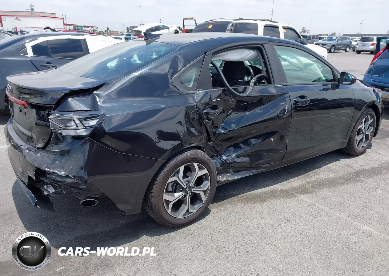 2019 Kia Forte Lxs VIN:3KPF24AD3KE117904 - 4