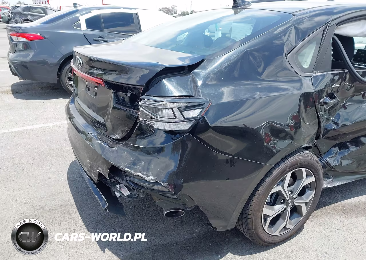 2019 Kia Forte Lxs VIN:3KPF24AD3KE117904 - 6