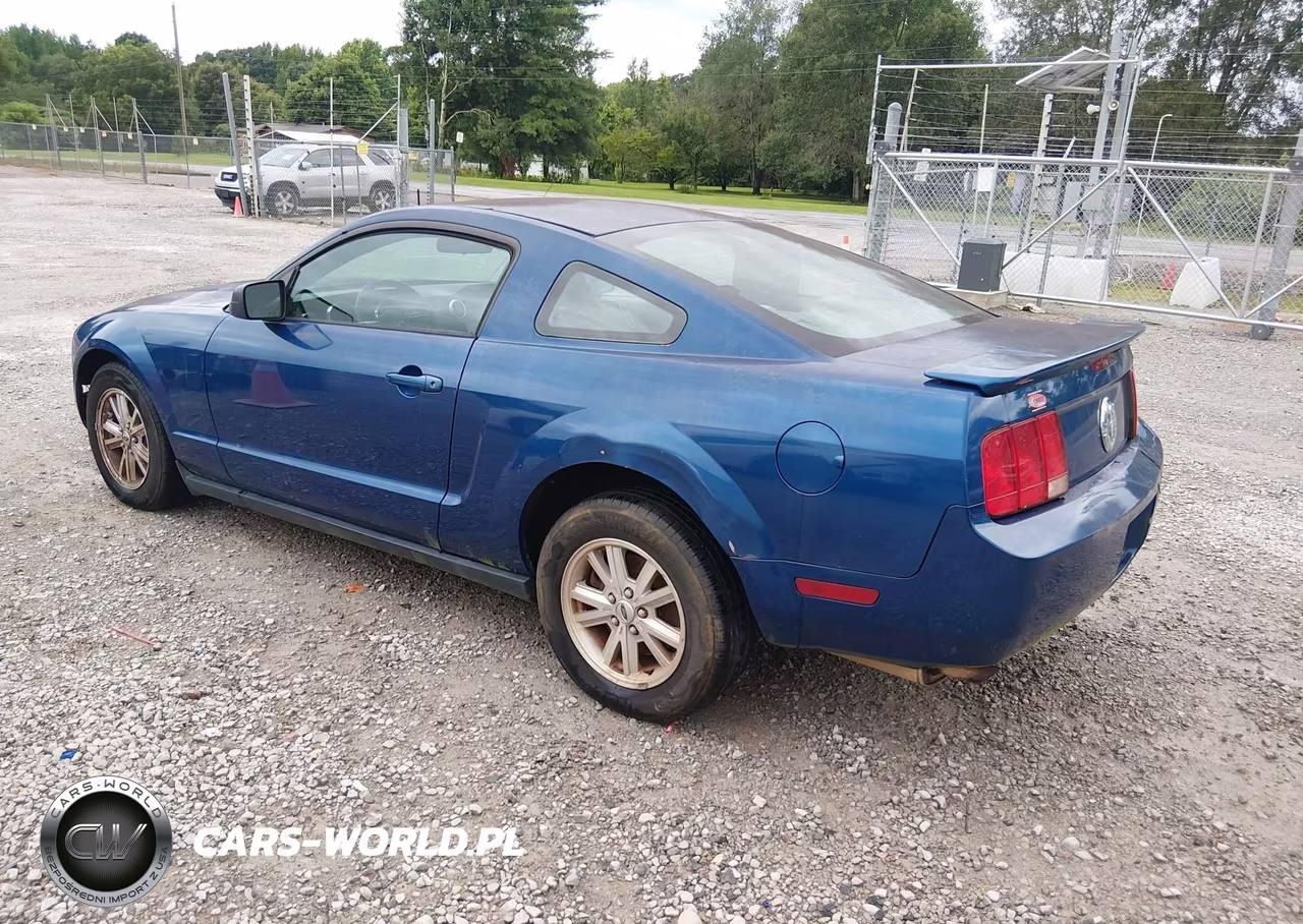 2007 Ford Mustang V6 Deluxe-V6 Premium VIN:1ZVFT80N175210693 - 3
