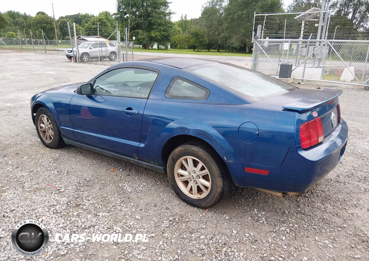 2007 Ford Mustang V6 Deluxe-V6 Premium VIN:1ZVFT80N175210693 - 6