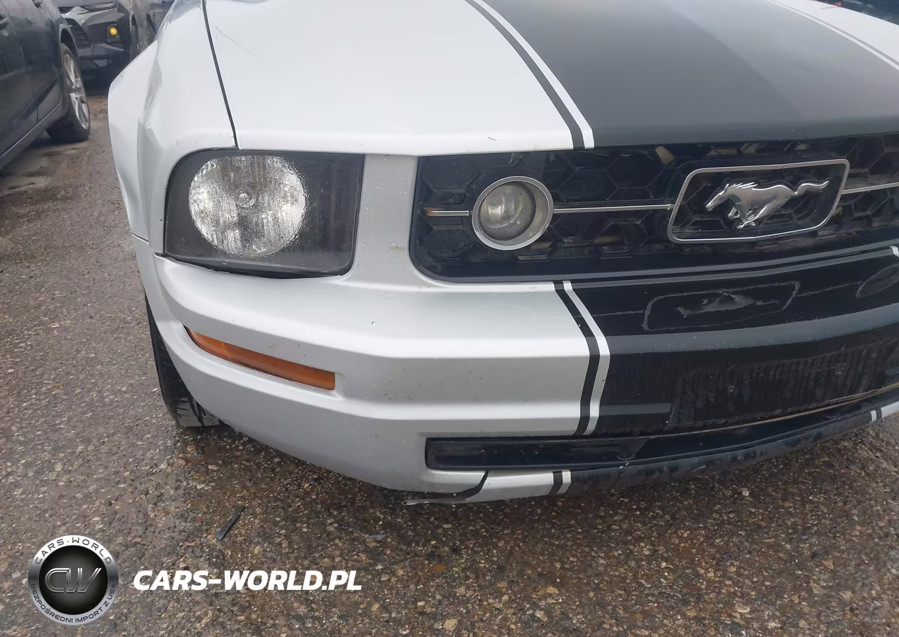 2007 Ford Mustang V6 Deluxe-V6 Premium VIN:1ZVFT80N275260048 - 6