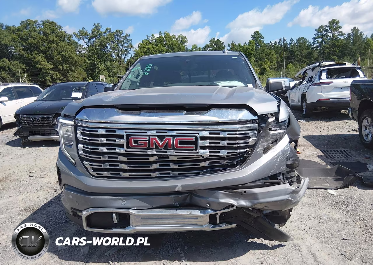 2024 GMC Sierra 1500 4Wd Short Box Denali VIN:3GTUUGEL3RG351544 - 12