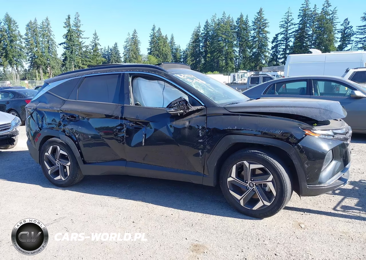 2022 Hyundai Tucson Hybrid Limited VIN:KM8JECA16NU058866 - 12