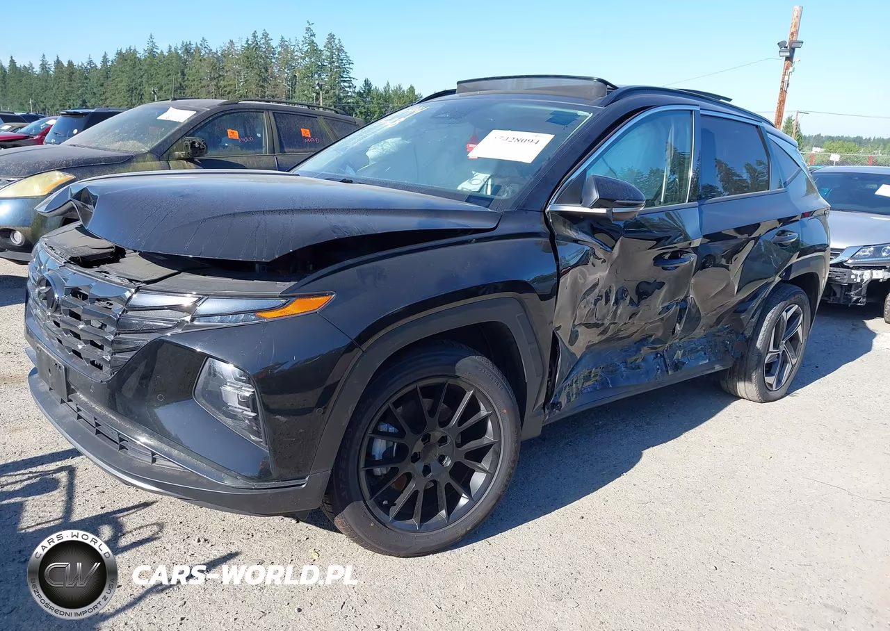 2022 Hyundai Tucson Hybrid Limited VIN:KM8JECA16NU058866 - 2
