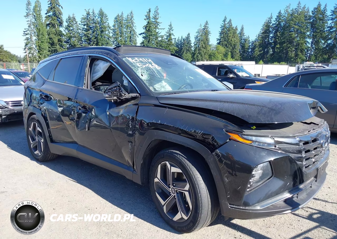 2022 Hyundai Tucson Hybrid Limited VIN:KM8JECA16NU058866 - 6