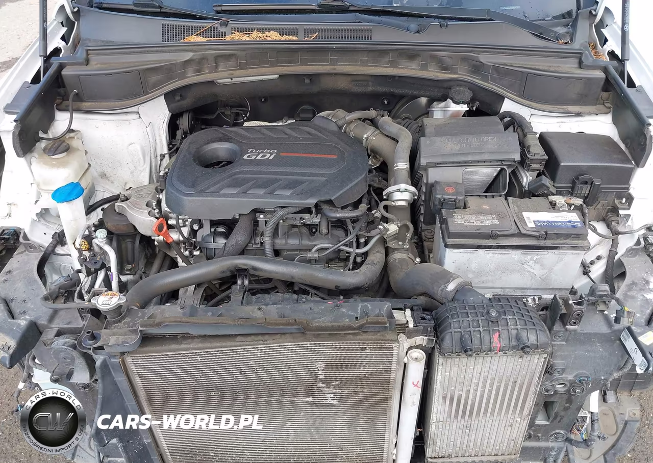 2018 Hyundai Santa Fe Sport 2.0T Ultimate VIN:5XYZW4LA7JG514666 - 10